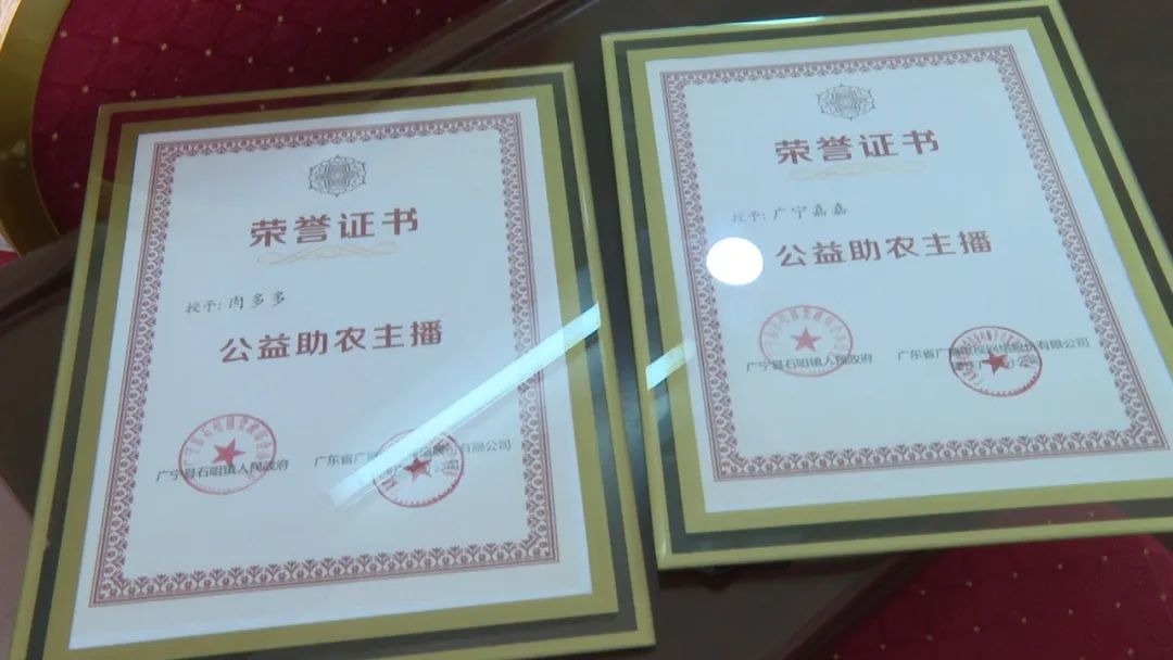 廣東廣電網(wǎng)絡(luò)：智慧廣電網(wǎng)絡(luò)平臺，開啟廣寧農(nóng)產(chǎn)品銷售新格局